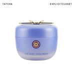 The Dewy Skin Cream Plumping & Hydrating Moisturizer